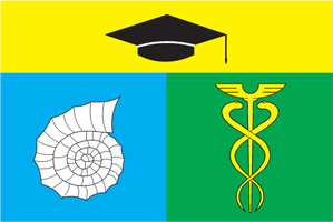 Флаг муниципального образования Академическое