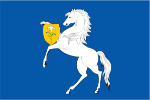 Флаг муниципального образования Чертаново Северное