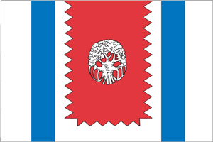 Флаг муниципального образования Западное Дегунино