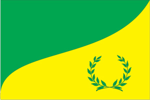 Флаг муниципального образования Донское