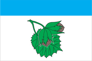 Флаг муниципального образования Орехово-Борисово Северное